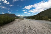Toad River